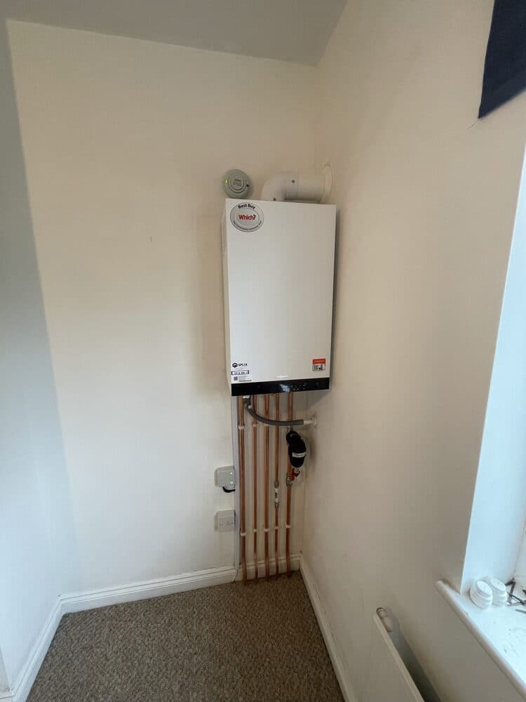Boiler and cylinder installed side by side in a cupboard